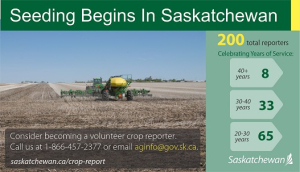 First Saskatchewan Agriculture Crop Report Released