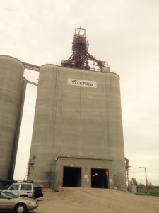 Bunge/Viterra Merger Would Result in Massive Oilseed Crushing Business