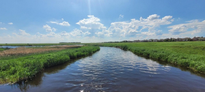 Saskatchewan Farmers say Drainage can be Done Without Causing Damage to Farm Land