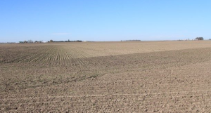 SCA hosting two more townhall meetings on supports for producers facing drought conditions