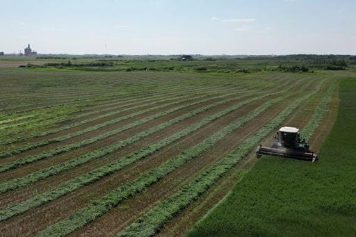 Despite dry conditions and little rain, crops at or ahead of development