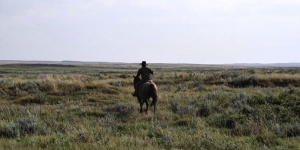 Farm group wants more government assistance for livestock producers facing extreme drought