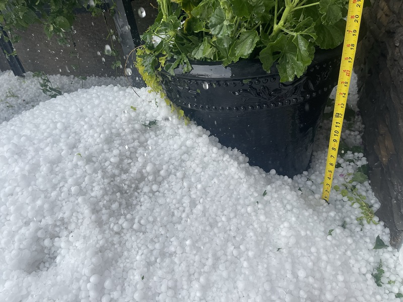 AAFC’s Richard Cuthbert on weekend hailstorm