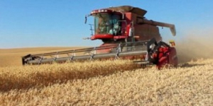 Slow Start to Manitoba Harvest:  Crop Report