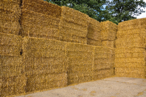 Two ag organizations form partnership to address straw shortage