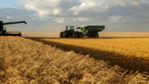 37% of Manitoba Harvest Complete:  Crop Report