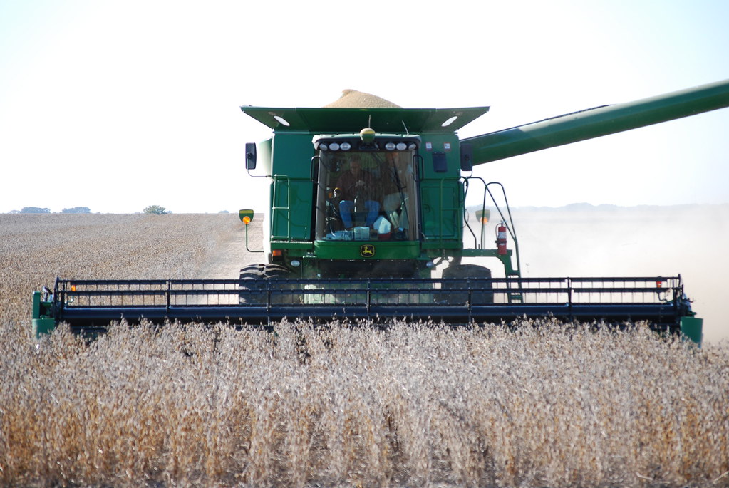 Shawn Senko with Canola Council of Canada on straight-cutting versus swathing