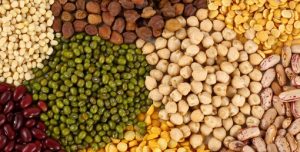 More time granted to export yellow peas to India