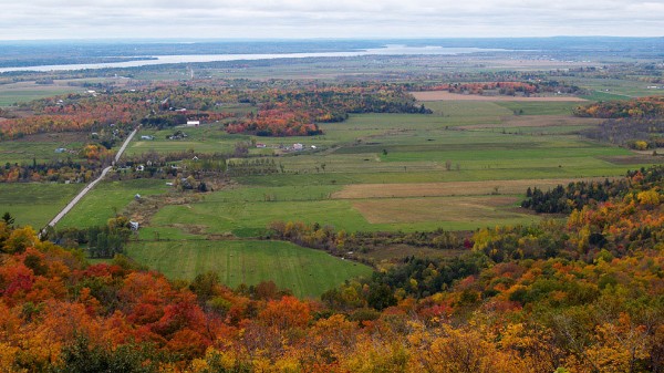 FCC’s Leigh Anderson, Sask. Stock Growers President Garner Deobald on Farm Credit Canada farmland values report