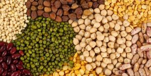 Volume of Saskatchewan’s Agri-Food Exports to India Sees Over 70 Per Cent Increase