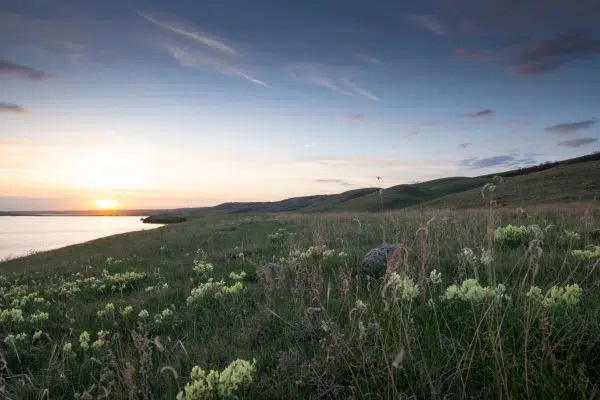 Canadian Cattle Association Vice-President, Ducks Unlimited National Sustainability Manager on Grasslands Conservation Initiative