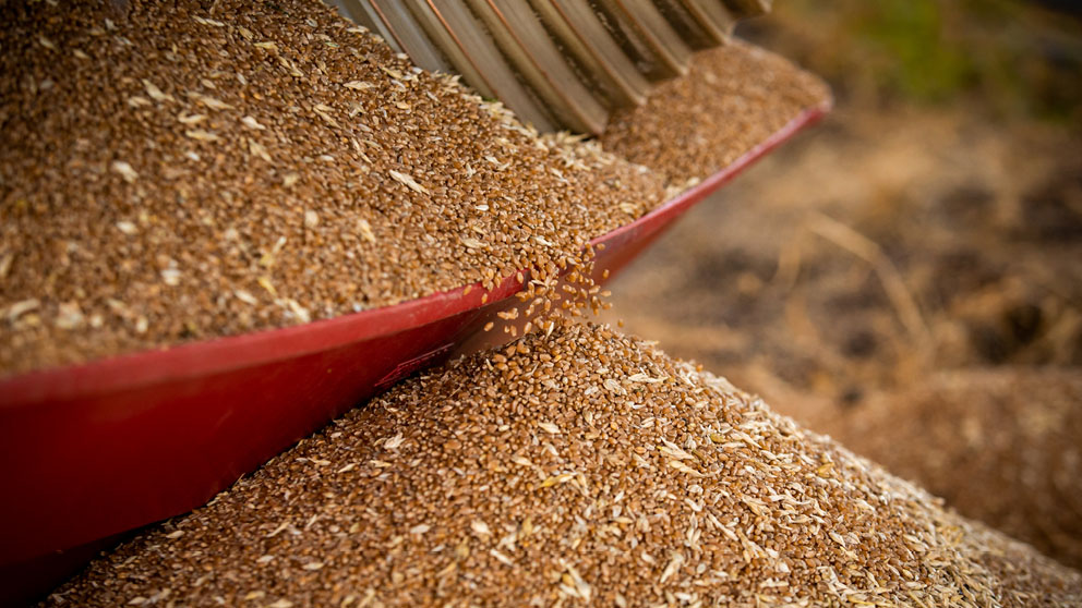 SaskWheat looking forward to meeting with new Chief Commissioner of CGC