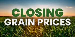 Closing Grain Prices Monday, January 15