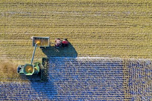 Price projections for pulses are up, while wheat, barley and oats are lower: AAFC Outlook Report