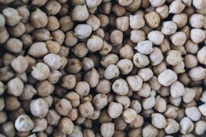 Close-Up Shot of Chickpeas