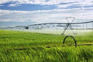 Sask Ag Today Roundtable Episode 29