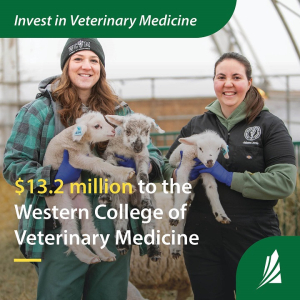 Saskatchewan Invests $13.2 Million For Veterinary Medicine Training