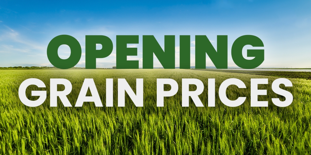 Opening Grain Prices Wednesday, June 26