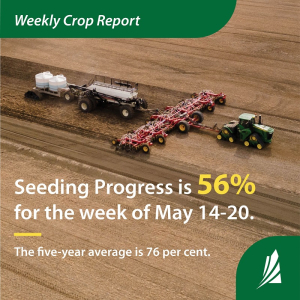 Rain didn’t stop farmers from passing half-way point of seeding