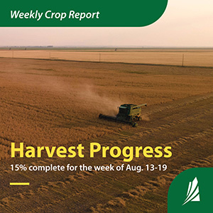 2024 Saskatchewan Harvest Ahead of Schedule Compared to Recent Years:  Crop Report