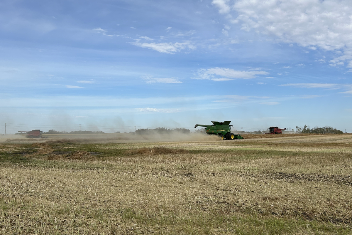 Farming for health back in the field