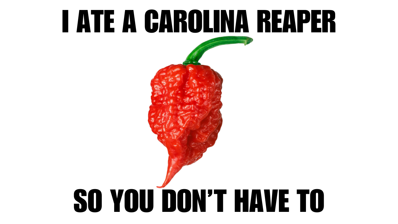 I ate a Carolina Reaper so you don’t have to!