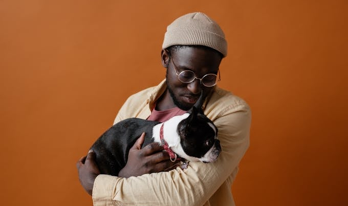 Stylish African American male in trendy outfit and hat with glasses holding Boston terrier in hands against orange background