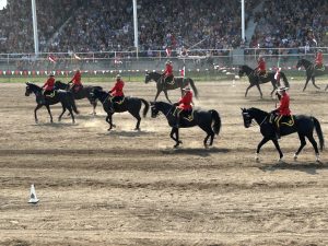 The RCMP Musical Ride – a fun first for Reader