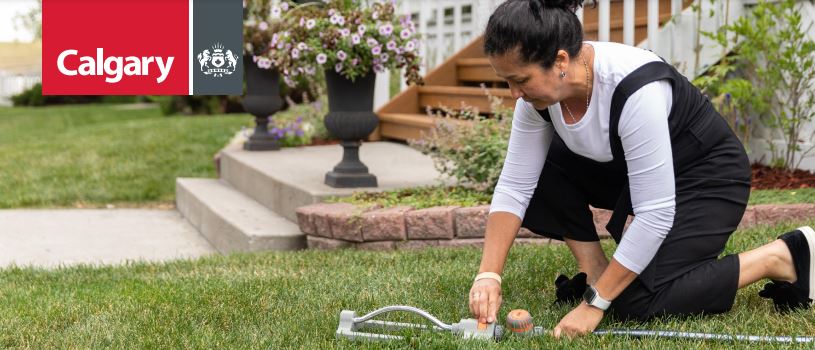 PSA: Water Is Back Full Blast In Calgary!