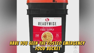 The Grant Report: the Costco food bucket