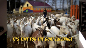 The Grant Report: The Goat Exchange program