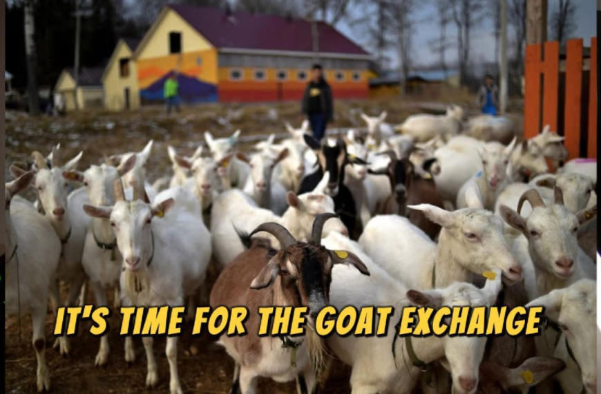 The Grant Report: The Goat Exchange program