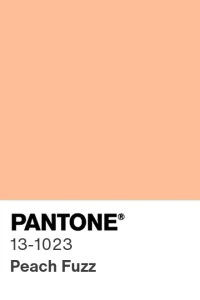 Paint The Town Peach? : 2024’s Reigning Color, ‘Peach Fuzz’!