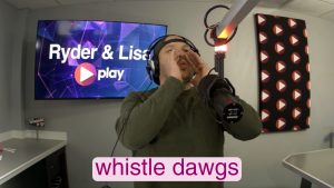 How Ryder gets his Whistle Dogs